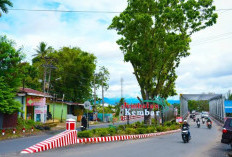 Walikota Dedy Wahyudi Benahi Wajah Bengkulu, Pasar hingga Jembatan Jadi Fokus Utama