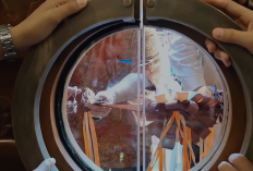 Alena Boutique Hotel Resmi Beroperasi, Usung Perpaduan Budaya Jawa dan Serawai di Jantung Kota Bengkulu