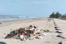 Disediakan Tong Sampah, Sampah Tetap Berserakan di Pantai Panjang Bengkulu