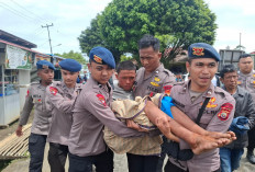 Sempat Hilang Saat Mendaki Bukit Kaba, Remaja Asal Lebong Ditemukan Selamat