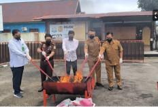 Kejari Mukomuko Musnahkan Barang Bukti 34 Perkara, Ganja Dibakar dan Sabu Dilarutkan