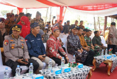 Tanpa Dana APBD, Festival Pantai Panjang Dinilai Jadi Contoh Kolaborasi yang Sukses