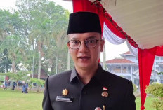 Pemprov Siapkan Rp 60 Miliar Untuk Gaji PPPK Paruh Waktu 2026