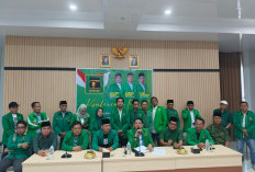 Muswil X DPW PPP Bengkulu 2026, DPC Kompak Tolak Terseret Konflik Pusat