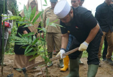 Bengkulu Siap Jadi Wilayah Konservasi Hutan, Gubernur Helmi Hasan Pimpin Gerakan Tanam 49.280 Bibit Pohon