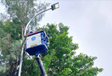 993 Titik Lampu Jalan Dipasang dan Diperbaiki di Kota Bengkulu, 446 Berdaya 30 Watt