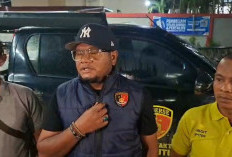 Polda Bengkulu Selidiki Kematian Induk dan Anak Gajah di Mukomuko, Tunggu Hasil Laboratorium