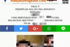 Hoaks! Berita Catut Nama Rakyat Bengkulu, Sebarkan Screenshot Wanita Video Call