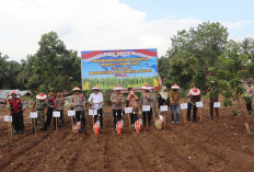 Dukung Swasembada Pangan Nasional, Kapolda Bengkulu Gelar Tanam Raya Jagung 