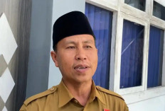 Nasib PPPK Paruh Waktu di Bengkulu Menggantung, BKD Tunggu Kepastian Pusat
