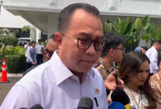Inovasi Baru BRIN, Tepung Singkong Bakal Diuji untuk Padamkan Karhutla