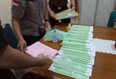 Jaksa Buru Alat Bukti Baru, DPRD Desak Investigasi Lapangan Terkait Dugaan Kebun Sawit Ilegal di HPT Bukit Rab