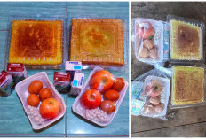 Libur Sekolah, MBG Dialihkan ke Ibu Hamil dan Balita