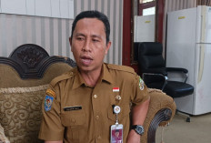 Penerbitan NIP 4.380 PPPK Paruh Waktu Pemprov Bengkulu Dilakukan Secara Bertahap