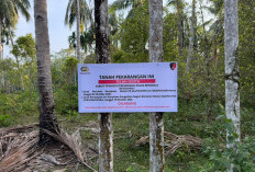 Polda Bengkulu Sita Dua Bidang Tanah dari Penelusuran Aset Kasus Korupsi Rekrutmen Non-ASN RSKJ Soeprapto