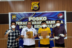 Warga Kaur Diduga Edarkan 2 Kg Ganja di Bengkulu, Polisi Temukan Sabu di Kamar Kos