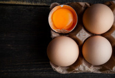 Telur Biasa dan Telur Omega Ternyata Berbeda, Ini Ciri Fisik dan Manfaatnya