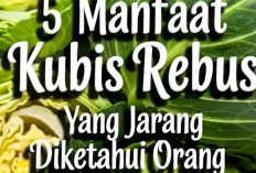 5 Manfaat Kubis Rebus bagi Kesehatan yang Jarang Diketahui