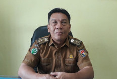 Pastikan Sejalan dengan Visi Nasional, Pemkab Mukomuko Tunggu Juknis KemenPPPA Terkait Hari Anak 2026