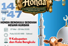 Program Berkah Honda Astra Motor Bengkulu Salurkan Sedekah Hewan Kurban di 9 Kabupaten dan Kota 