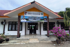 Waspada Ancaman Rabies, 54 Warga Mukomuko Sudah Jadi Korban Gigitan