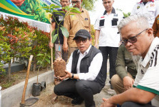 Pemkot Bengkulu Tanam 400 Bibit Alpukat di Kebun Tebeng, Dorong Lingkungan Hijau dan Ekonomi Warga