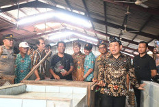 Los Pasar Panorama Banyak Kosong, Wali Kota Bengkulu Soroti Pedagang yang Enggan Masuk