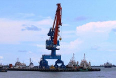 215 Hektare Lahan di Pulau Baai Disiapkan untuk Kawasan Industri, Studi Kelayakan Dikebut 