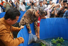 Walikota Bengkulu Apresiasi Pengelolaan Sampah Berbasis Maggot di Kebun Tebeng