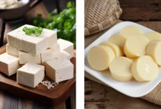 Sering Dianggap Sama, Tahu dan Tofu Ternyata Punya Perbedaan