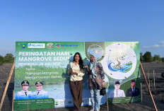 Astra Motor Bengkulu Dukung Penanaman 1.000 Mangrove Peringati Hari Mangrove Sedunia