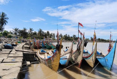 Diterjang Cuaca Ekstrem, Nelayan Koto Jaya Mukomuko Parkir Perahu, Stok Ikan Segar Menipis