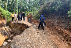 Perbaikan Mendesak, Bupati Seluma Minta PUPR dan BPBD Lakukan Kajian Teknis Jalan Amblas Akibat Hujan