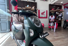 Promo Spesial Astra Motor Padang Jati Bengkulu, DP Murah & Banyak Bonus!