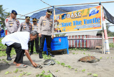 Kapolda Bengkulu Turun Langsung, Konservasi Penyu Warga Terancam Abrasi Dapat Perhatian