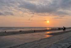 Pantai Panjang Bengkulu, Destinasi Gratis dengan Pesona Alam dan Sunset Memikat