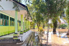 Sekolah Terdampak Banjir di Bengkulu Didata, SDN 89 Masih Libur Sementara