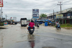 Hujan Semalaman, Puluhan Titik di Kota Bengkulu Terendam Banjir