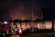 Korsleting Listrik Dominasi Kasus Kebakaran di Bengkulu, 25 Insiden Terjadi Awal 2026