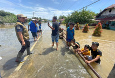 Wali Kota Bengkulu Tinjau Lokasi Banjir, Siapkan Normalisasi Sungai hingga Peninggian Jala