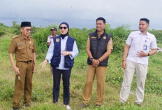 Proyek Jembatan Timbang Mukomuko Mandek, Masalah Hibah Lahan Jadi Penghambat Utama